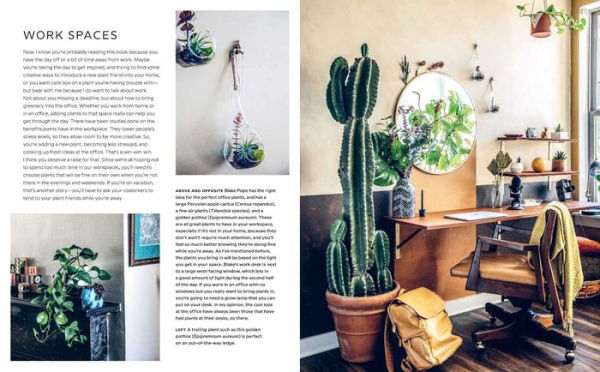 Wild Interiors: Beautiful plants in beautiful spaces