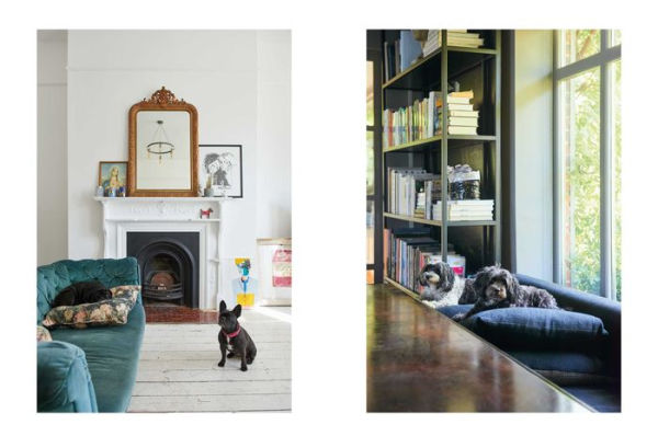 Cool Dogs, Homes: Living style with your dog