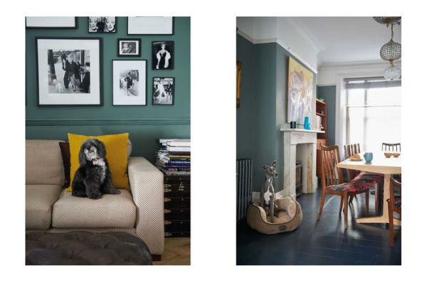 Cool Dogs, Homes: Living style with your dog