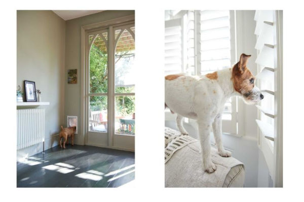 Cool Dogs, Homes: Living style with your dog