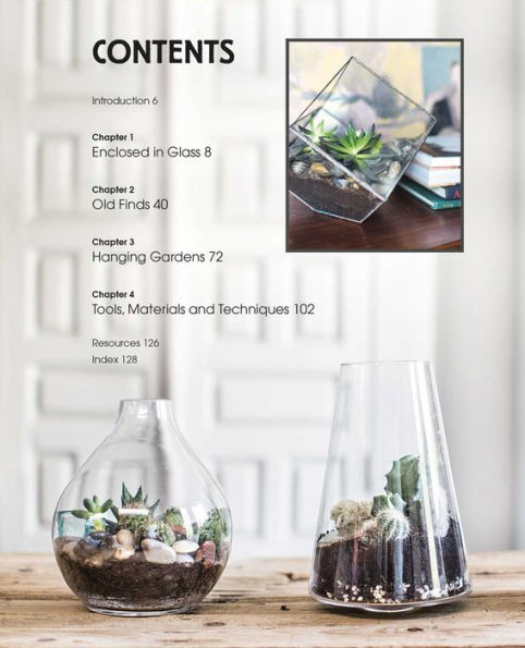 Succulents and All things Under Glass: Ideas and inspiration for indoor gardens