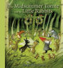 The Midsummer Tomte and the Little Rabbits: A Day-by-day Summer Story in Twenty-one Short Chapters
