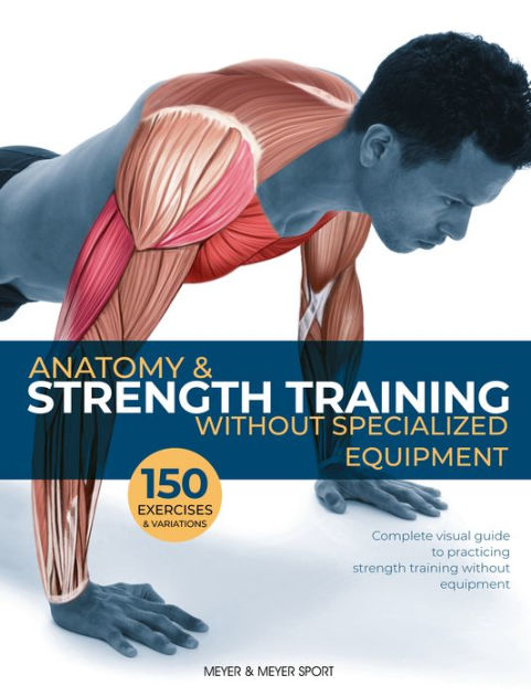 Anatomy & Strength Training by Guillermo Seijas, Paperback | Barnes ...