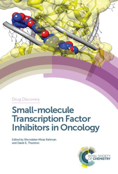 Small-molecule Transcription Factor Inhibitors in Oncology / Edition 1