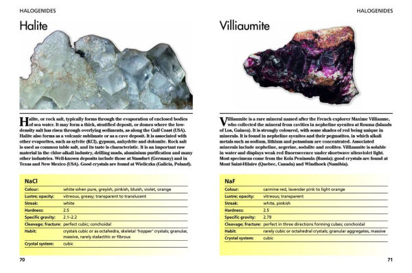 Minerals and Gemstones: 300 of the Earth's Natural Treasures