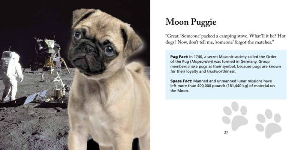 Pugs in Space