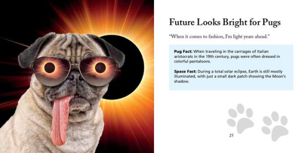 Pugs in Space