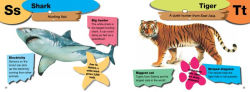 Alternative view 4 of A-Z of Animals