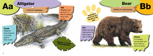 A-Z of Animals