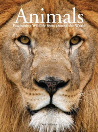 Title: Animals: Fascinating Wildlife from around the World, Author: David Alderton