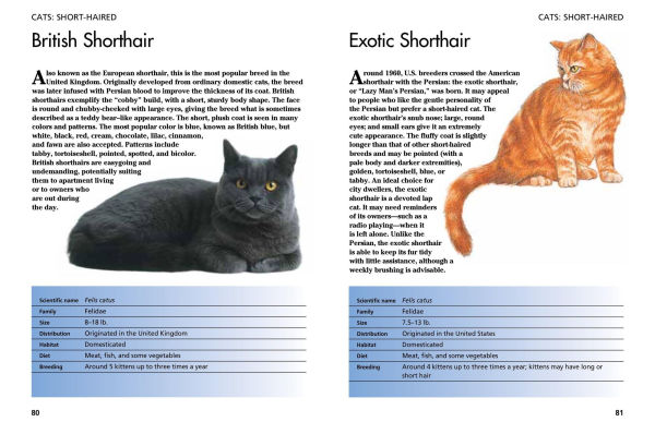 Pets: 300 Small Animals