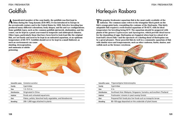 Pets: 300 Small Animals