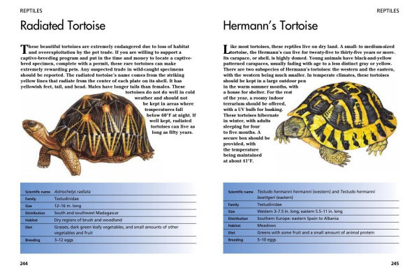 Pets: 300 Small Animals