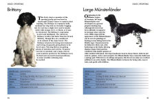 Alternative view 8 of Pets: 300 Small Animals