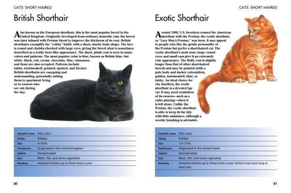 Pets: 300 Small Animals