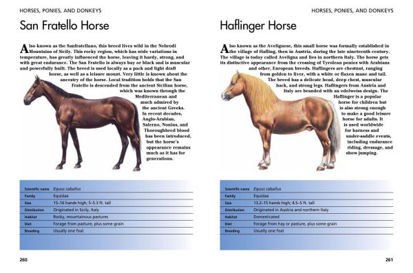 Pets: 300 Small Animals