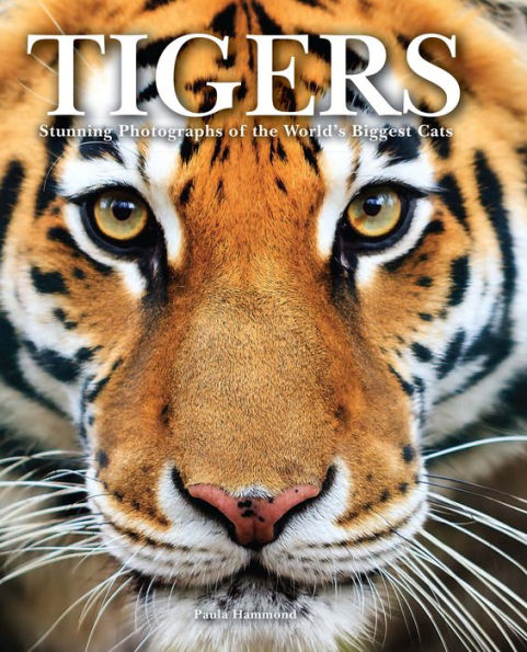 Tigers