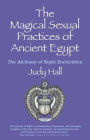 The Magical Sexual Practices of Ancient Egypt: The Alchemy of Night Enchiridion