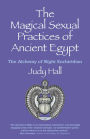 The Magical Sexual Practices of Ancient Egypt: The Alchemy of Night Enchiridion