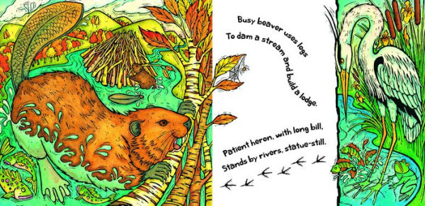 Home for a Tiger, Home for a Bear by Brenda Williams, Rosamund