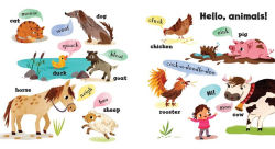 Alternative view 5 of Baby's First Words