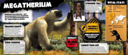 Alternative view 3 of Extinct Animals: Unleash Augmented Reality Prehistoric Beasts!