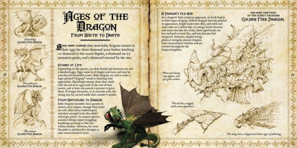 The Book of Dragons: Secrets of the Dragon Domain