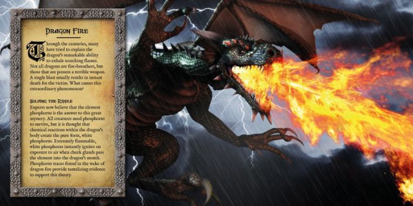 The Book of Dragons: Secrets of the Dragon Domain