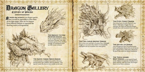 The Book of Dragons: Secrets of the Dragon Domain