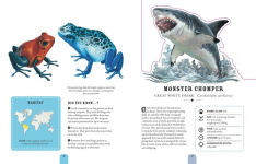 Alternative view 3 of Paperscapes: The Amazing World of Animals: Turn This Book Into a Wildlife Work of Art