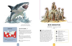 Alternative view 4 of Paperscapes: The Amazing World of Animals: Turn This Book Into a Wildlife Work of Art