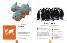 Alternative view 5 of Paperscapes: The Amazing World of Animals: Turn This Book Into a Wildlife Work of Art