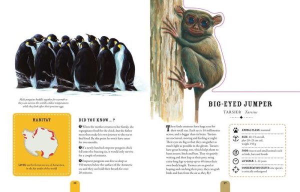 Paperscapes: The Amazing World of Animals: Turn This Book Into a Wildlife Work of Art