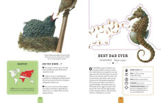 Alternative view 7 of Paperscapes: The Amazing World of Animals: Turn This Book Into a Wildlife Work of Art