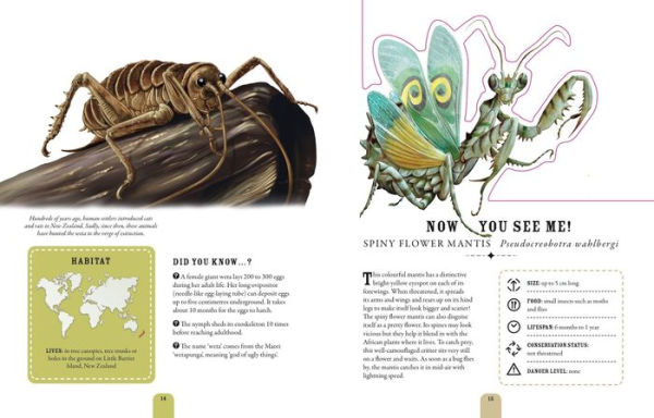 Paperscapes: The Incredible World of Bugs: Turn This Book Into a Creepy-Crawly Work of Art