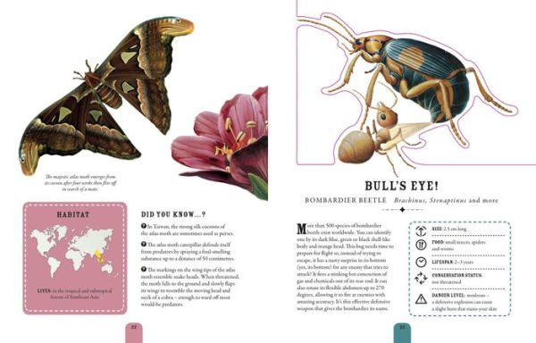Paperscapes: The Incredible World of Bugs: Turn This Book Into a Creepy-Crawly Work of Art