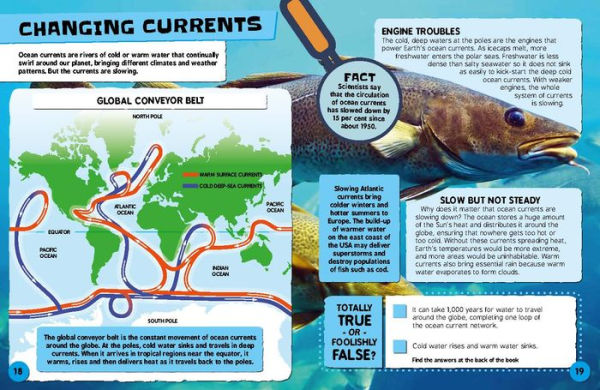 Weird Weather and Changing Climates: What's Happening to Our Planet and How can YOU Help?