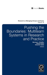 Title: Pushing the Boundaries: Multiteam Systems in Research and Practice, Author: Emerald Group Publishing Limited