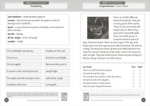 Alternative view 6 of Phonic Books Talisman 1 Activities: Activities Accompanying Talisman 1 Books for Older Readers (Alternative Vowel Spellings)