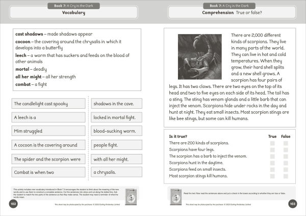 Phonic Books Talisman 1 Activities: Activities Accompanying Talisman 1 Books for Older Readers (Alternative Vowel Spellings)