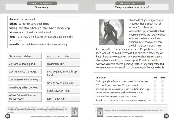 Phonic Books Talisman 1 Activities: Activities Accompanying Talisman 1 Books for Older Readers (Alternative Vowel Spellings)