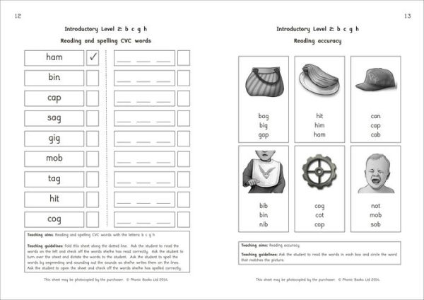 Phonic Books Magic Belt Introductory Activities: Activities Preparing for Magic Belt Books for Older Readers (CVC, Consonant Blends and Consonant Teams)