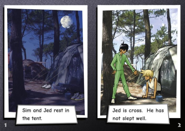 Phonic Books Moon Dogs Set 2: Decodable for Older Readers (CVC Level, Consonant Blends and Teams)