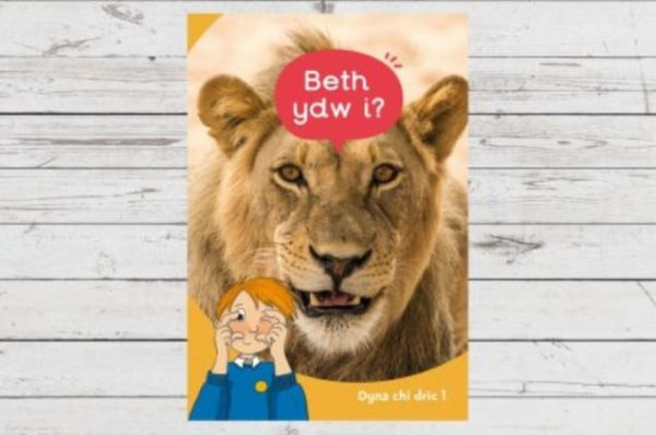 Dyna Chi Dric: Beth Ydw I?