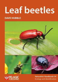 Title: Leaf beetles, Author: Dave Hubble