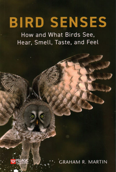 Bird Senses: How and What Birds See, Hear, Smell, Taste Feel