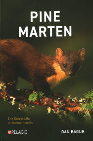 Title: Pine Marten: The Secret Life of Martes martes, Author: Dan Bagur
