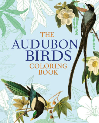 Download The Audubon Birds Coloring Book By John James Audubon Peter Gray Paperback Barnes Noble