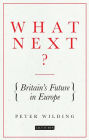 What Next?: Britain's Future in Europe