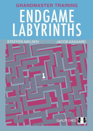 Title: Endgame Labyrinths, Author: Jacob Aagaard